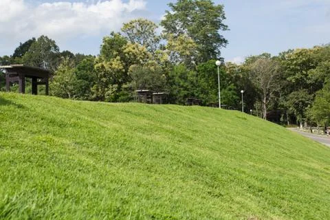 The bench Stock-Fotos