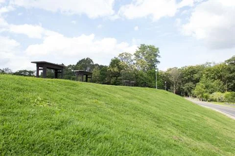 The bench Stock-Fotos