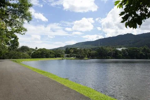 The bench Stock Photos
