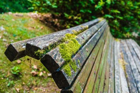 Bench Stock Photos