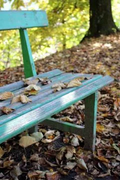 Bench Stock Photos