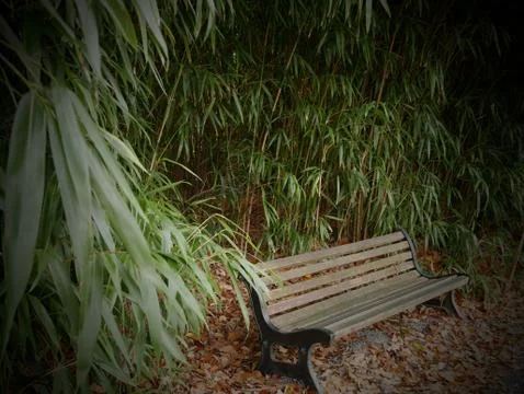 A bench Stock Photos