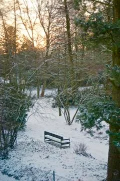 The bench Stock Photos