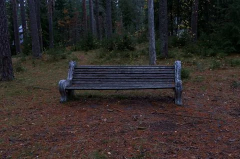 Bench Stock Photos
