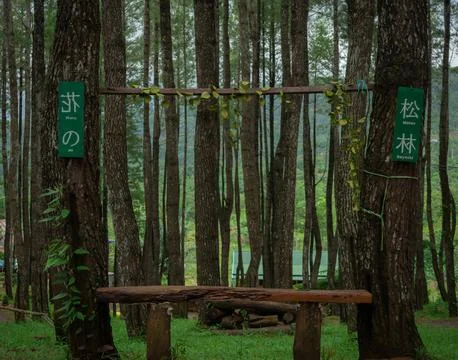 A bench 写真素材