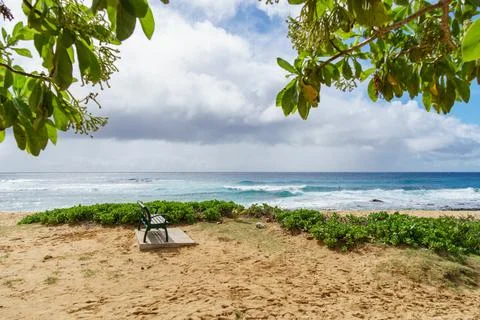 A bench is placed on a sandy beach overlooking the ocean under the expansive sky Stock Photos