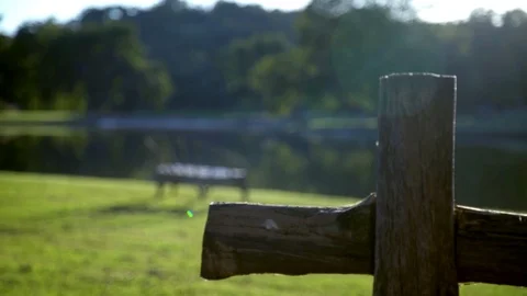 Bench by Pond Tracking Shot Stock Footage 90011708