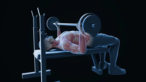 Bench Press Workout 스톡 동영상 274535347