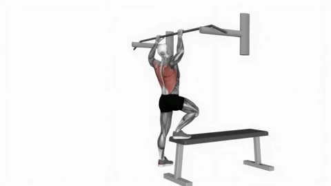 Bench Pull-ups fitness exercise workout animation male muscle highlight 4K Vidéo 243983257