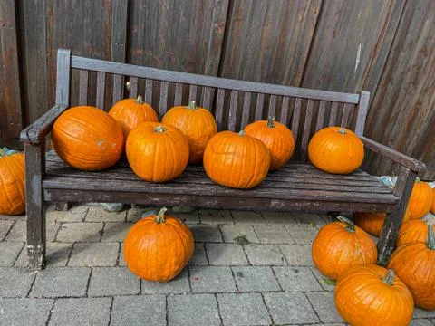A bench with pumpkins Stock Photos
