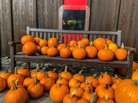 A bench with pumpkins Stock Photos