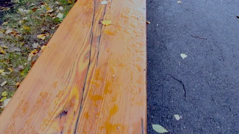 Bench with rain and foliage with drops Stock Footage 218639640