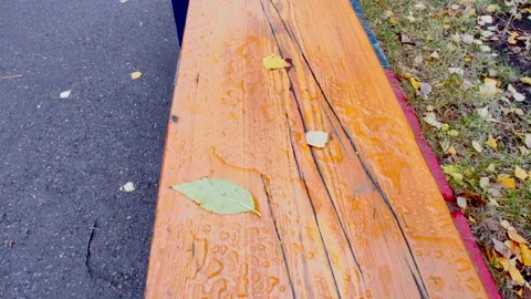 Bench with rain and foliage with drops Stock-Footage 218639674