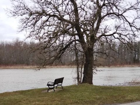 Bench in the rain Stock Photos