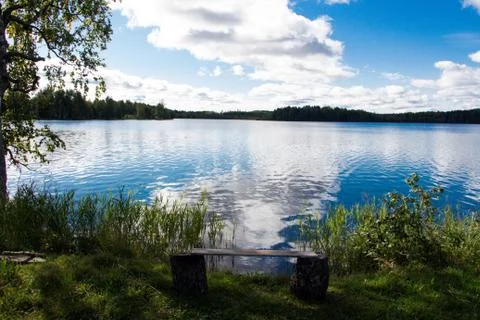 Bench for reflection, at the very shore of a forest quiet lake under a clear sky Foto stock