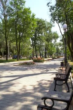 Bench for rest in park. Foto stock