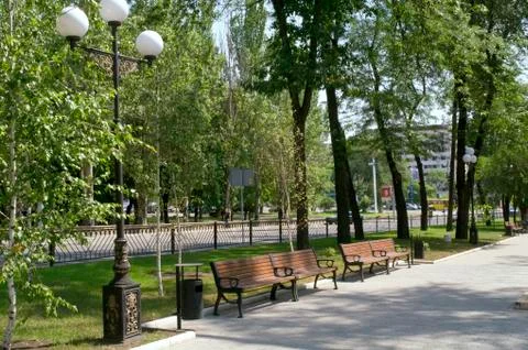 Bench for rest in park. Stock Photos