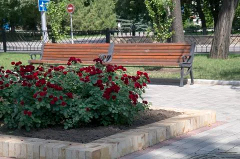 Bench for rest in park. Stock Photos