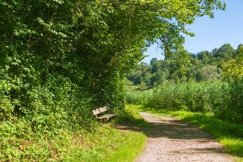A Bench For A Rest Stock Photos