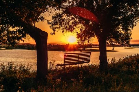 Bench by the River. Stock Photos