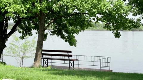 Bench on the riverbank Stock Footage 53796325