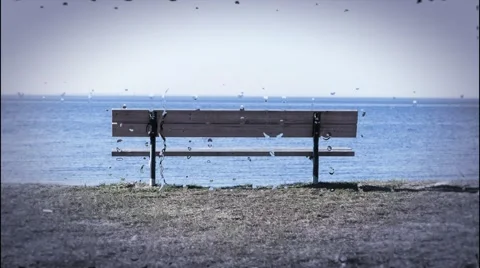 Bench by the sea on the rainy day Video stock 40615095