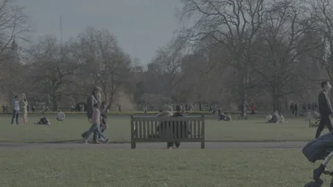 Bench setting in a park Stock Footage 219317771