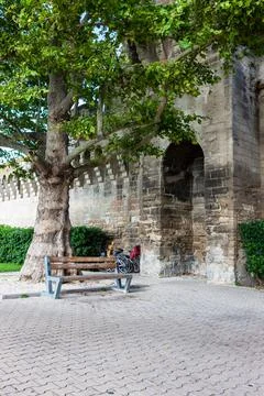 A bench in the shade of a huge plane tree near the ancient fortress wall. Med Stock Photos