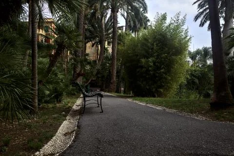 Bench in a shady path of a park Stock Photos