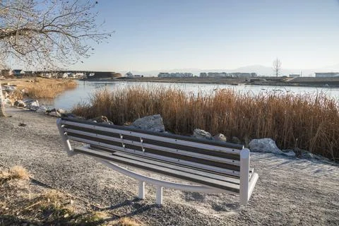 Bench on the side of a trail at the front of grasses and lake Foto stock