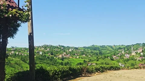 A bench that is sitting. Stock Footage 282844606