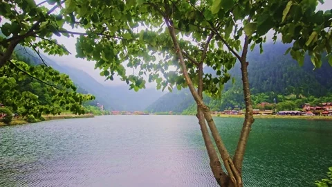 A bench sitting on the. Stock Footage 284635024
