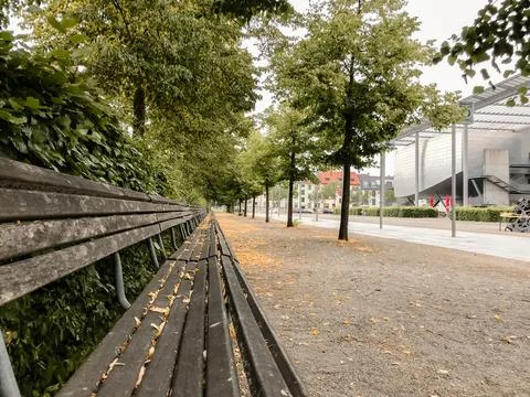 A bench is sitting in a park with trees in the background Stock Photos