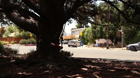 Bench slowly swinging in park - Medium Shot Stock-Footage 67639073