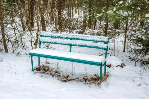 Bench in a snow-covered forest Stock-Fotos