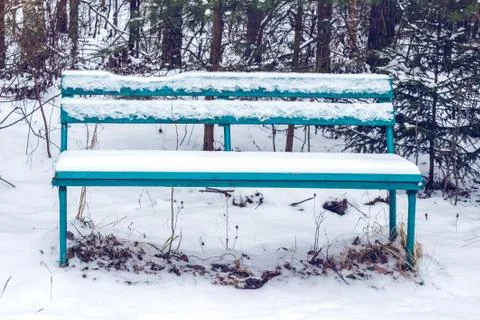 Bench in a snow-covered forest Stock Photos