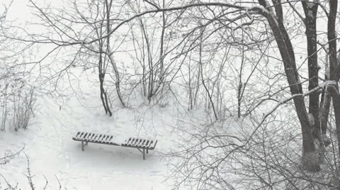 Bench In The Snow HD Stock Footage 45099478