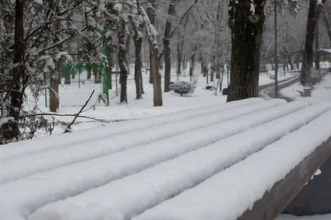 Bench with snow in the winter. Stock Photos