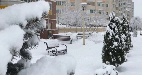 Bench in snowfall through the branch ate in the snow. Stock-Footage 103251282