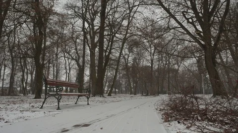 Bench in snowing Stock Footage 101505220