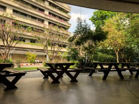 Bench with space in park view with building background Stock Photos