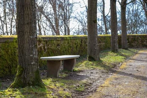 Bench in the spring park between old trees and footpath near an old stone fen Stock Photos