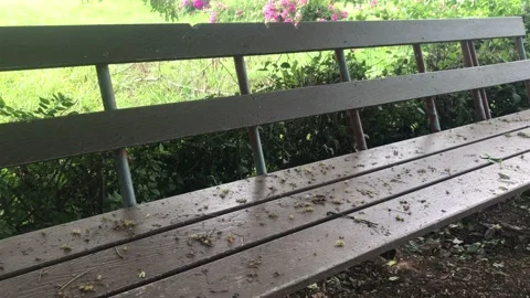 Bench In The Spring Park Stock Footage 157551452
