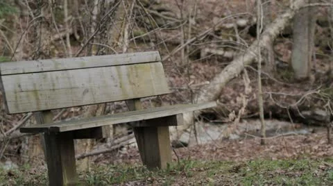 Bench In Spring Woods Video stock 20496321