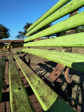 Bench in a square Stock Photos