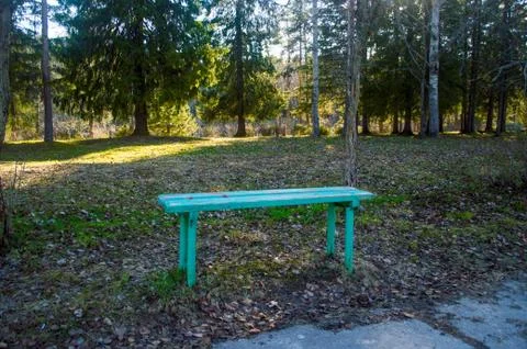 A bench stands in the forest Stock Photos