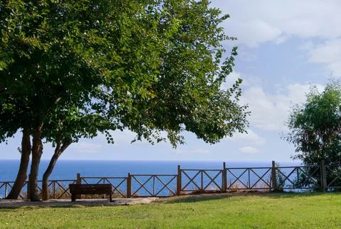 A bench stands under a large tree near the fence.behind the blue sea Stock Photos