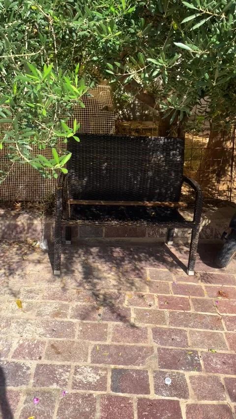 A bench stands under a tree. Vertical video Stock Footage 286346057