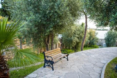 A bench on a stone path on a summer and sunny day. Stock Photos