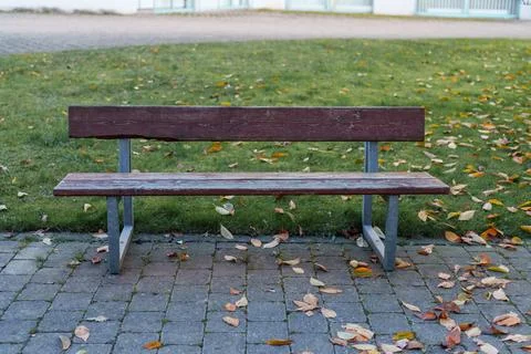 Bench on a stone path surrounded by fallen leaves in a green park during au.. Stock Photos